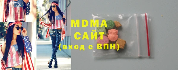 индика Алексин