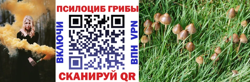 MEGA   Ревда  Псилоцибиновые грибы мицелий 